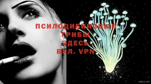 альфа пвп Покачи