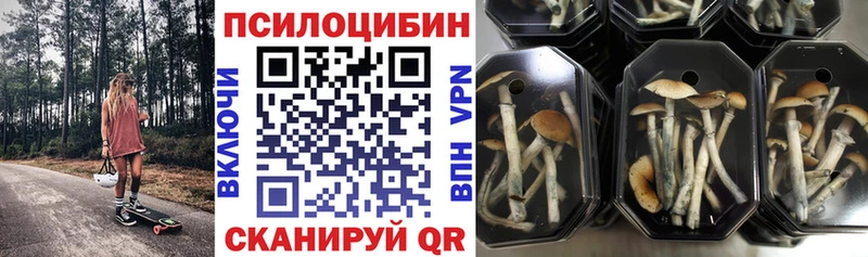 Галлюциногенные грибы прущие грибы Купить где Ялта